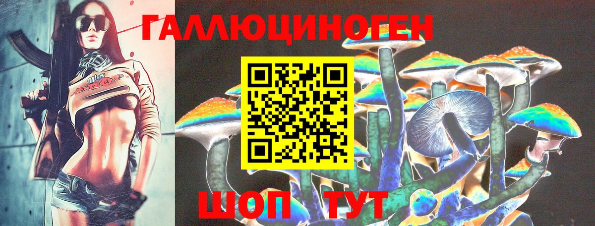 Галлюциногенные грибы Psilocybe  Вход с VPN  Вязники 