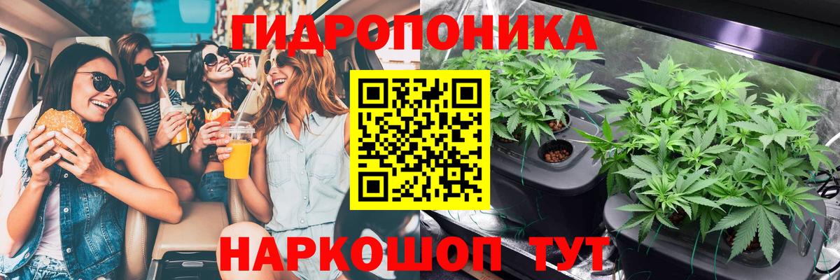 Шишки марихуана семена  Вход с VPN  МАРИХУАНА гибрид  Бошки Шишки конопля  Вязники 
